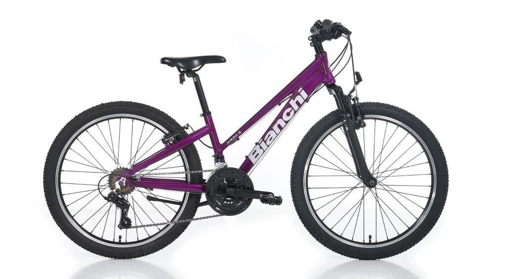 Bianchi XR24.3 V Fren 24 Jant Kız Çocuk Bisikleti Mürdüm