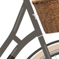 Carraro Elena 28 Jant Şehir Tur Bisikleti Bronz