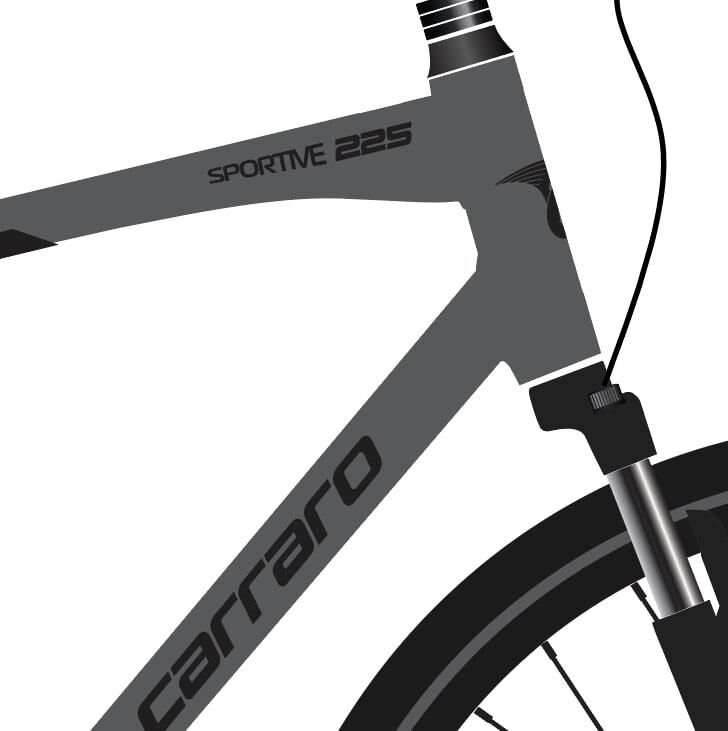 2026 Carraro Sportive 225 H Disk Şehir Tur Bisikleti Mat Antrasit