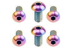 AYD Rainbow Oilslick Rotor Vidası 6 Lı M5x10