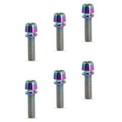 AYD Rainbow Oilslick Gidon Boğazı ve Kaliper Vidası 6 Lı M6x18