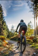 Moon Cerberus Sense 150 Lümen Arka Aydınlatma