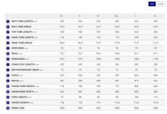 Giant FastRoad AR Advanced 1 Bisiklet Asphalt Green