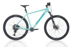 Bianchi MAGMA COMP 9.1 29 Jant 1x10V Dağ Bisikleti