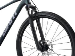 Giant Roam 2 Disc Asphalt Green Şehir Tur Bisikleti