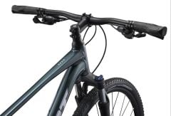 Giant Roam 2 Disc Asphalt Green Şehir Tur Bisikleti