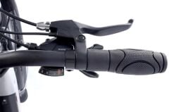 Alba FOLD X Premium H Disk 12.8 Ah LCD Gösterge Katlanır Elektrikli Bisiklet Antrasit Gri