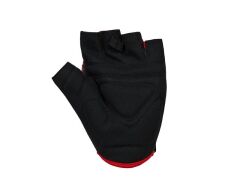 Asistan Cape GL 200 Bisiklet Kısa Parmak Eldiven